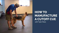 Manufacturing a Cutoff Cue with Tyler Muto