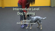 Intermediate Dog Obedience Trailer