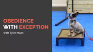 Obedience with Exception with Tyler Muto