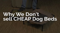 Why We Dont Sell Cheap Dog Beds