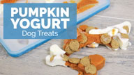Pumpkin Yogurt Dog Treats