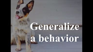 Generalizing a Behavior