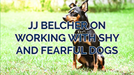 JJ Belcher on Working with Shy and Fearful Dogs