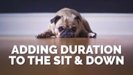 Adding Duration to the Sit and Down