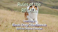 Rules of the Recall