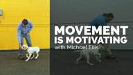Movement is Motivating with Michael Ellis