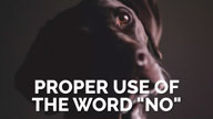 Correct Use of the Word “NO” in Marker Training Dogs