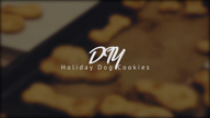 DIY Holiday Dog Cookies