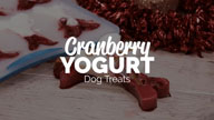Cranberry and Yogurt Treats