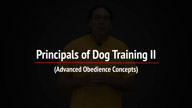 The Principles of Dog Training II - Advanced Obedience Concepts