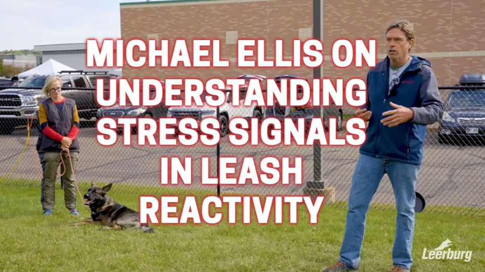 Michael Ellis on Understanding Stress Signals in Leash Reactivity