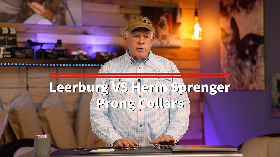 Leerburg VS Herm Sprenger Prong Collars