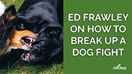 Ed Frawley on How to Break Up a Dog Fight