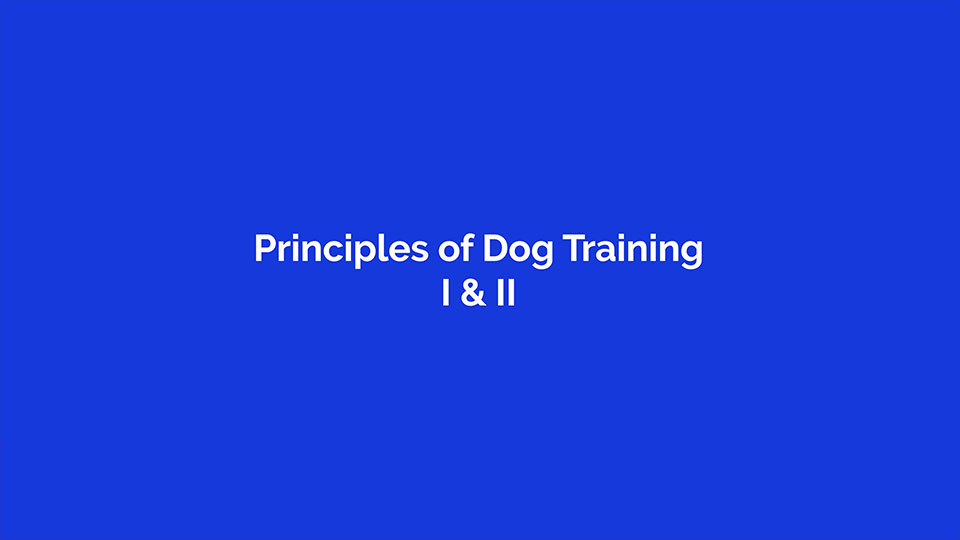 Principles of Dog Training I & II - New Content & Reduced Price