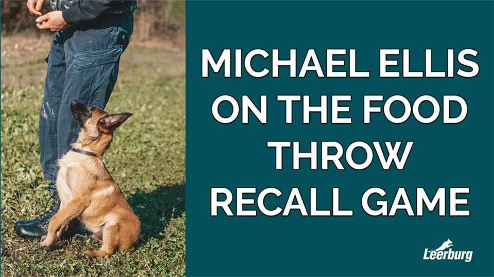Michael Ellis on The Food Throw Recall Game
