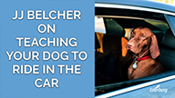 JJ Belcher on Teaching Your Dog to Ride in The Car