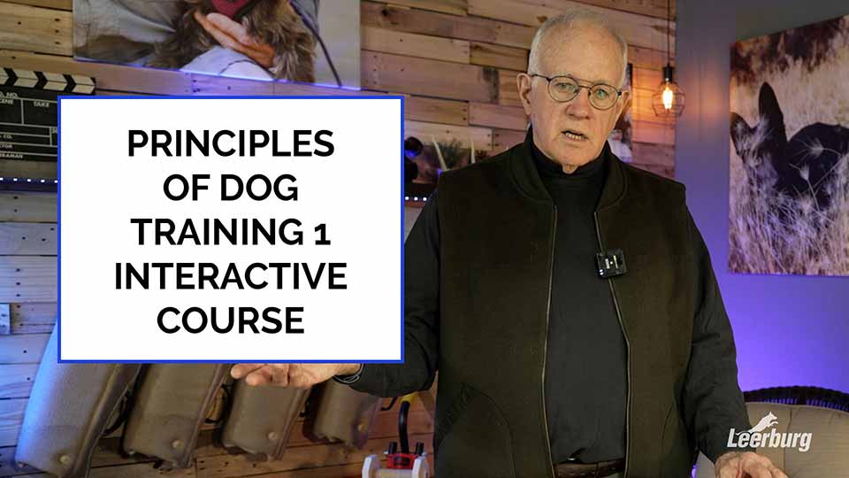 Principles of Dog Training 1-Interactive Explained by Ed Frawley