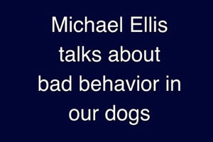 Michael Ellis on Bad Behavior in our Dogs