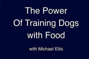 Michael Ellis Working Two of his Puppies with Food Rewards