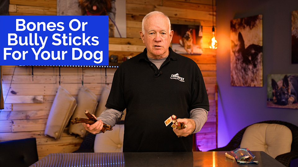 Bones or Bully Sticks For Your Dog