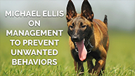 Michael Ellis on Management to Prevent Unwanted Behaviors