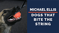 Michael Ellis on Dogs That Bite the String