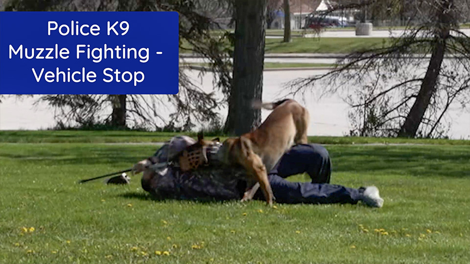 Police K9 Muzzle Fighting-Vehicle Stop