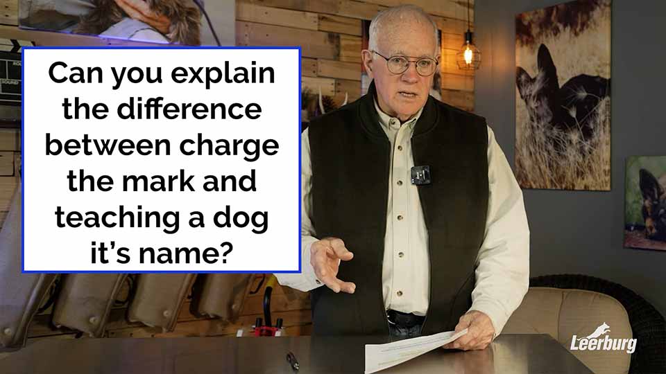 Can you explain the difference between charge the mark and teaching a dog its name?