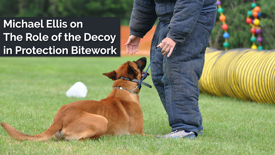 Michael Ellis on The Role of the Decoy in Protection Bitework