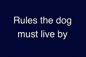 Rules Dogs Must Live By 
