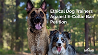 Ethical Dog Trainers Against E-Collar Bans Petition