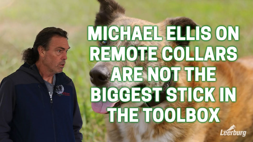 Michael Ellis on Remote Collars are Not the Biggest Stick in the Toolbox
