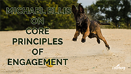 Michael Ellis on Core Principles of Engagement