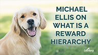 Michael Ellis on What is a Reward Hierarchy?