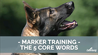 Ed Frawley on Marker Training - The 5 Core Words