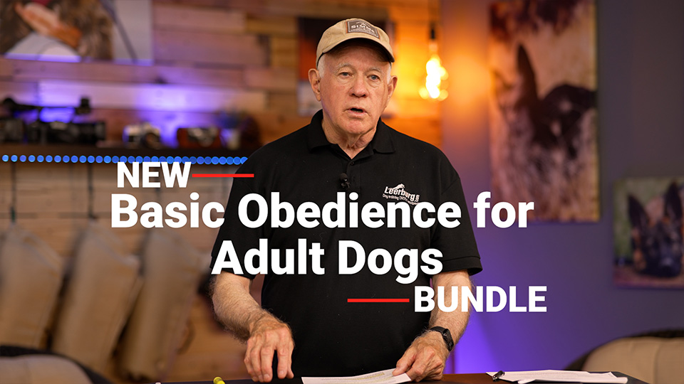 Basic Obedience for Adult Dogs Bundle