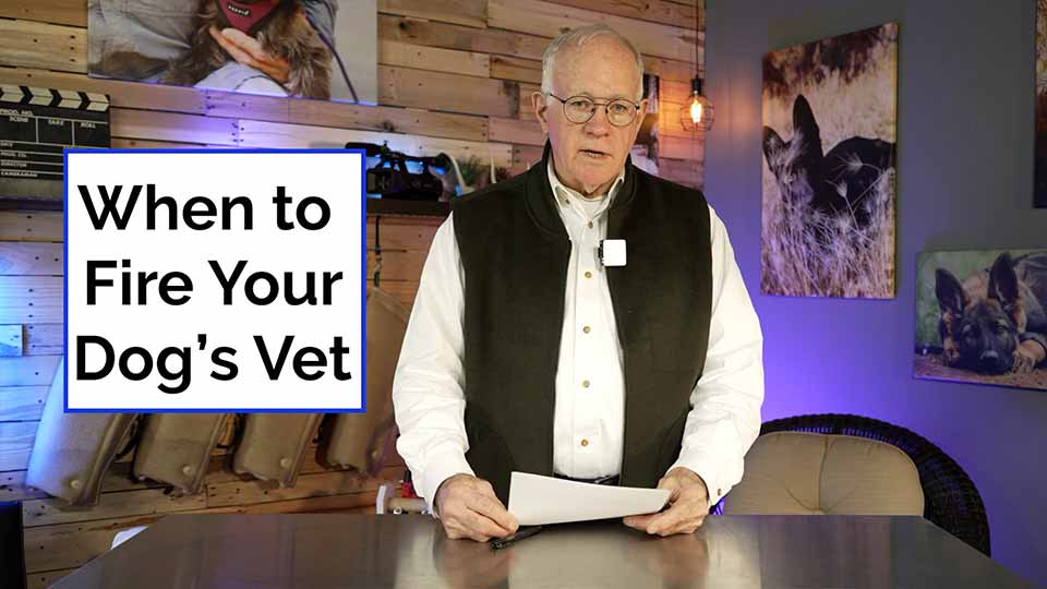 When to Fire Your Dogs Vet