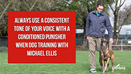 Always Use a Consistent Tone of Your Voice with a Conditioned Punisher with Michael Ellis