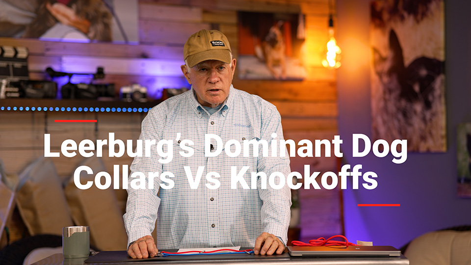 Leerburg Dominant Dog Collar VS Knockoffs