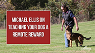 Michael Ellis on Teaching Your Dog a Remote Reward