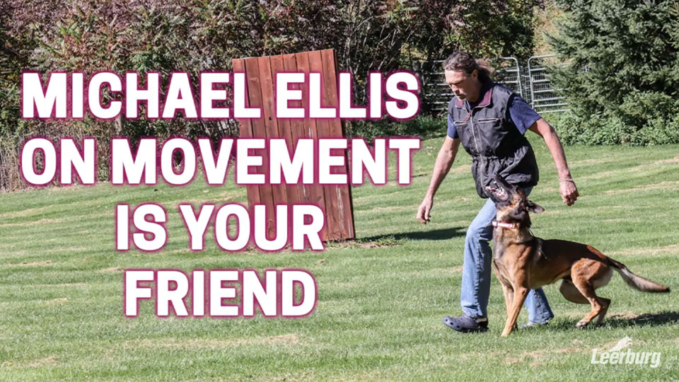 Michael Ellis on Movement is Your Friend
