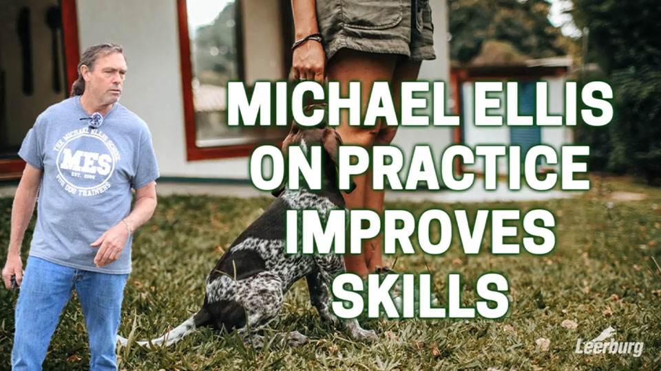 Michael Ellis on Practice Improves Skills