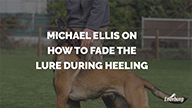 Michael Ellis on How to Fade the Lure During Heeling