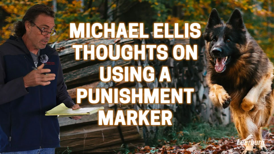 Michael Ellis Thoughts on Using a Punishment Marker