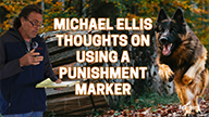 Michael Ellis Thoughts on Using a Punishment Marker