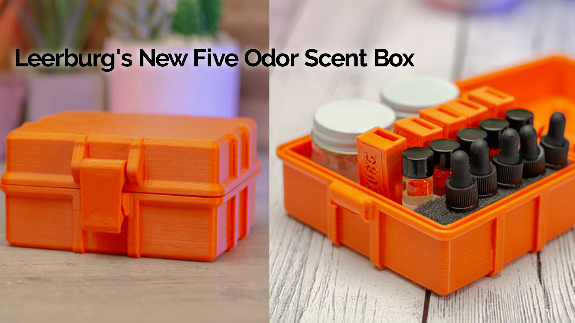 Leerburgs Five Odor Scent Box