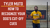 Tyler Muto on How to Recognize Your Dogs Cut-Off Cues