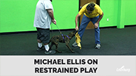 Michael Ellis on Restrained Play