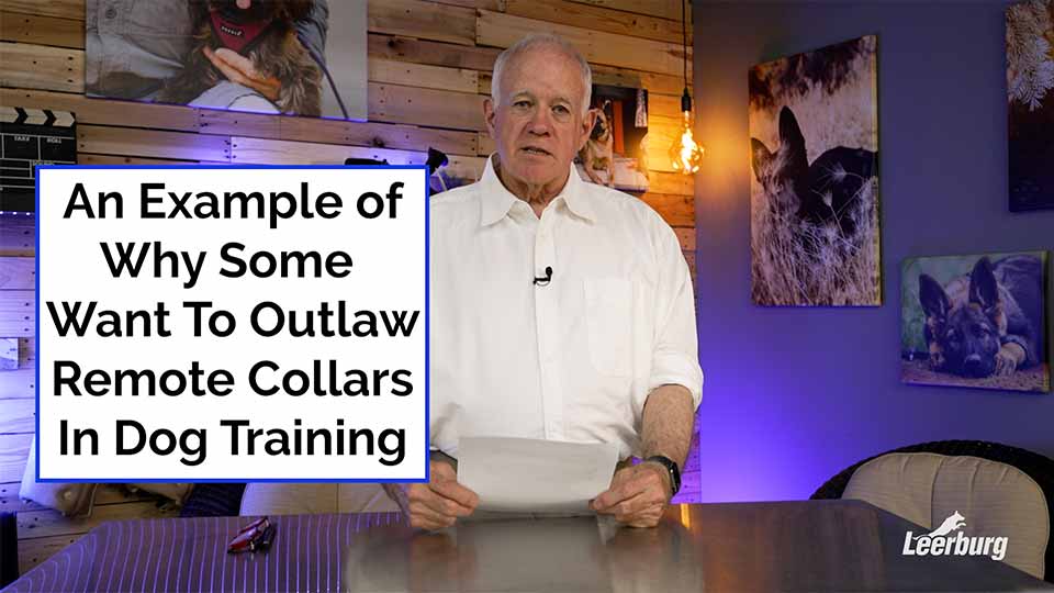 An Example of Why Some Want To Outlaw Remote Collars In Dog Training