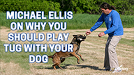 Michael Ellis on Why You Should Play Tug With Your Dog